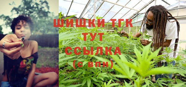 винт Богданович