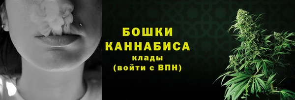 винт Богданович