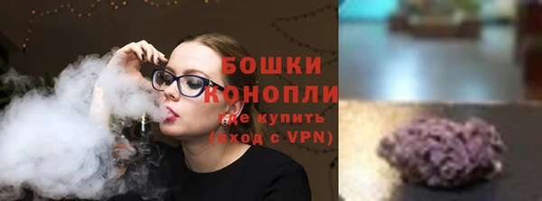 винт Богданович