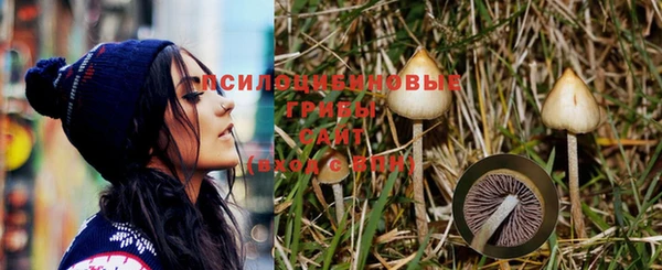 винт Богданович