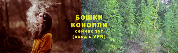 винт Богданович