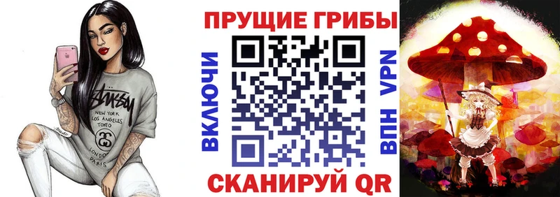 Псилоцибиновые грибы прущие грибы  Светогорск 